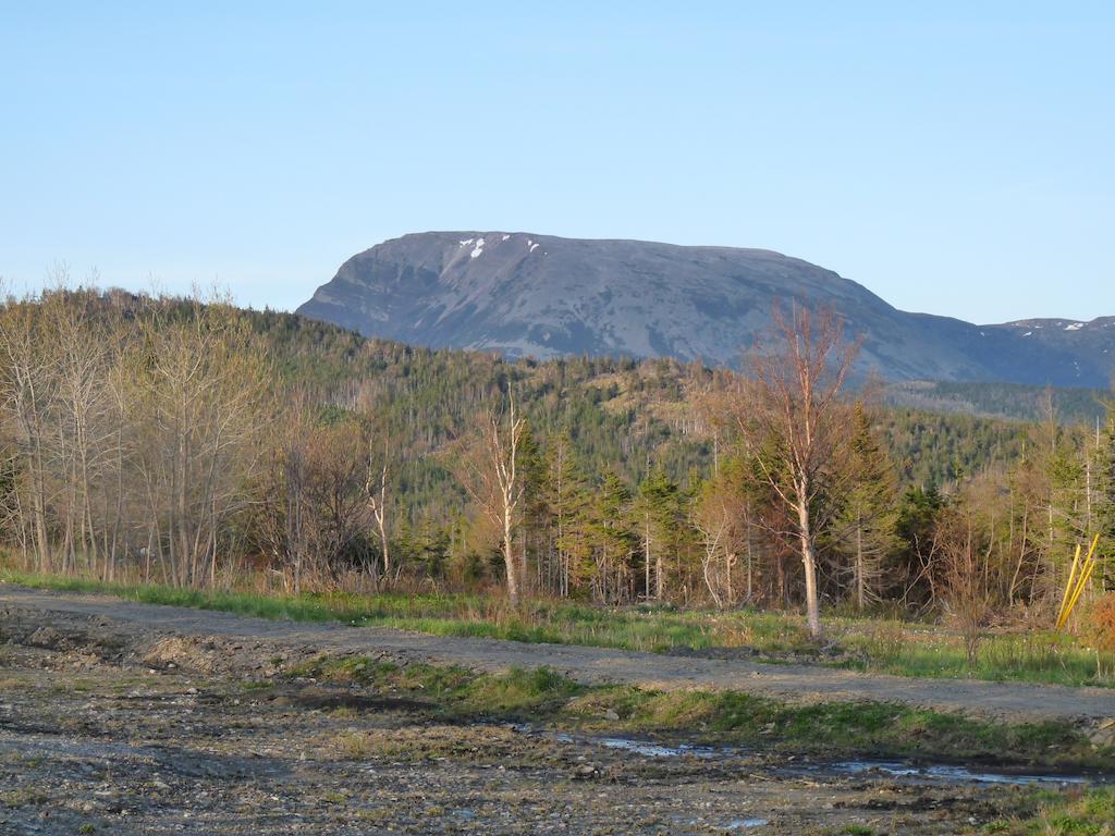 Oliver'S Landing Rocky Harbour Room photo